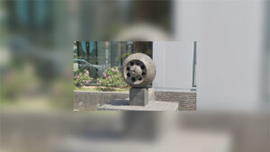 Bronzen beeld “de zaaddoos van de papaver”