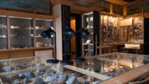 Laatste kans: mineralen, fossielen en gesteenten